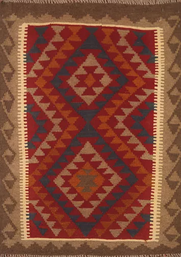 Reversible Wool Kilim Oriental Area Rug 3x4