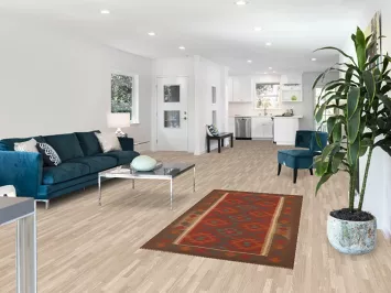 Kilim Reversible Wool Area Rug 3x6