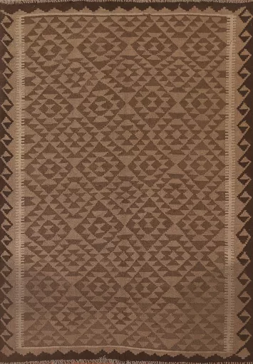 Reversible Wool Kilim Oriental Area Rug 5x6