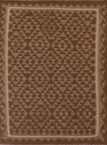 Reversible Wool Kilim Oriental Area Rug 5x7