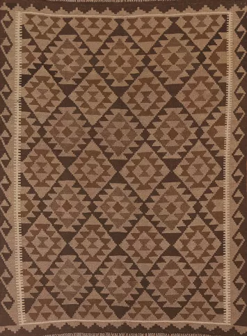 Reversible Wool Kilim Oriental Area Rug 5x6