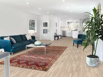 Geometric Shiraz Persian Area Rug 5x10