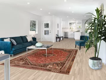 Vintage Red Shiraz Persian Area Rug 6x9