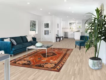 Antique Shiraz Persian Area Rug 5x9