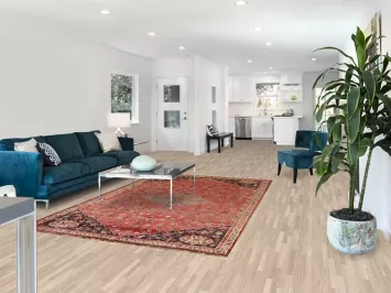 Vegetable Dye Shiraz Persian Area Rug 6x9