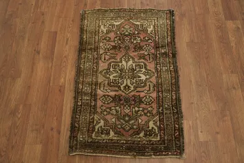 2x3 Hamedan Persian Oriental Area Rug