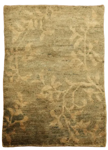 Floral Abstract Oriental Area Rug 5x7