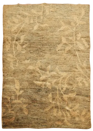 Floral Abstract Oriental Area Rug 5x7