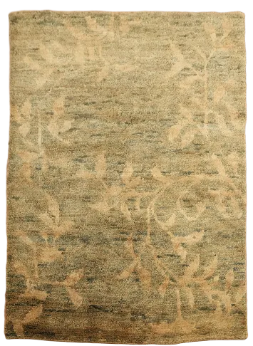 Floral Abstract Oriental Area Rug 5x7