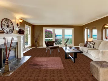 Modern Oriental Area Rug  4x6