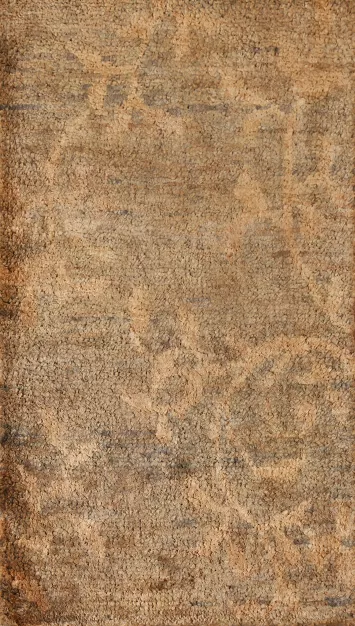 Brown Gold Moroccan Oriental Area Rug 3x5