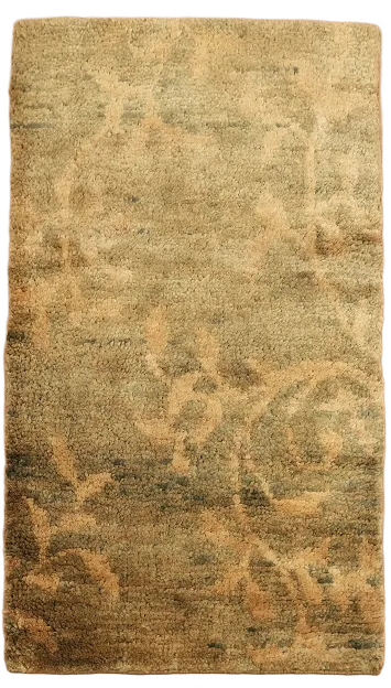 Brown Gold Moroccan Oriental Area Rug 3x5