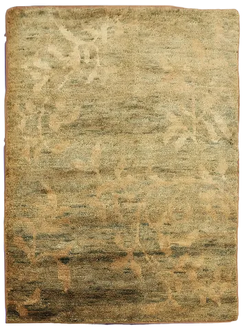 Floral Abstract Oriental Area Rug 5x7