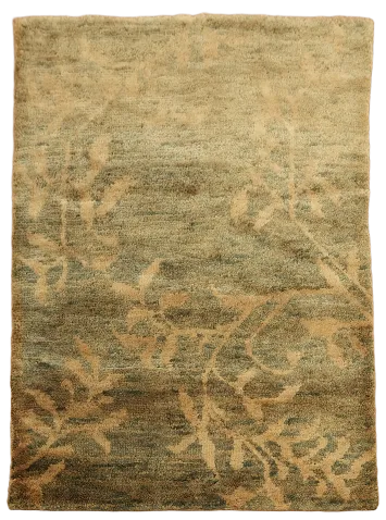 Floral Abstract Oriental Area Rug 5x7