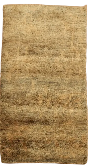 Abstract Oriental Area Rug 3x5