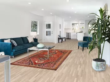 Vegetable Dye Qashqai Persian Area Rug 5x9