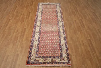 All-Over Botemir Persian Runner Rug 4x10