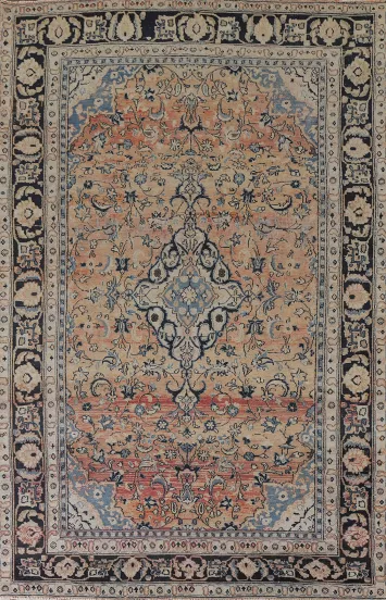Floral Mashad Persian Area Rug 6x9