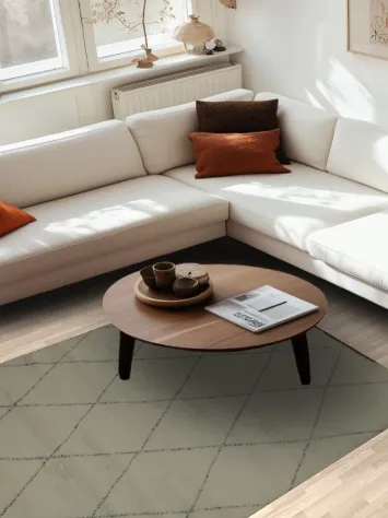 Classic Moroccan Area Rug 5x8 with Textured Diamond Linework Style