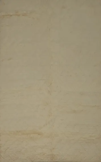 All-Over Trellis Moroccan Modern Area Rug 5x8