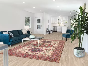 Ivory Kazak South Western Area Rug 6x10