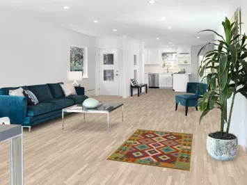 South Western Wool Kilim Oriental Rug 3x4