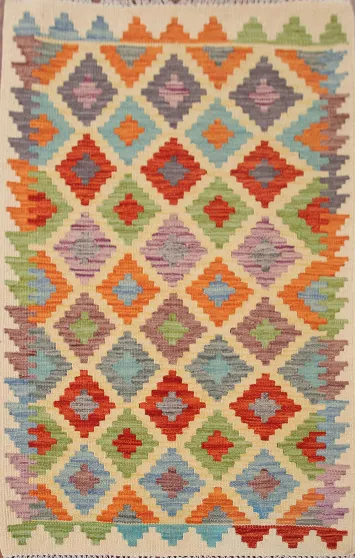 Multicolor Kilim Oriental Accent Rug 3x4