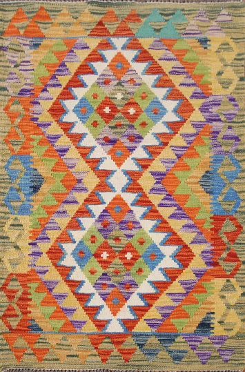 Geometric Kilim Accent Oriental Rug 3x4