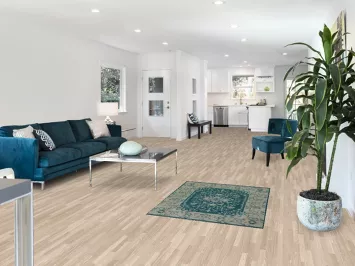 Vegetable Dye Oushak Turkish Accent Rug 3x4