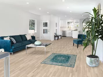 Vegetable Dye Oushak Turkish Foyer Rug 3x4