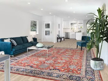 Vegetable Dye Ziegler Oriental Area Rug 9x12