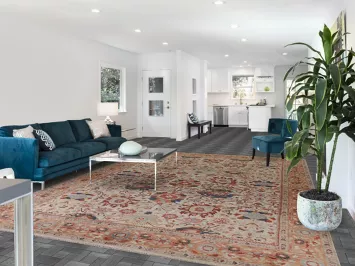 Vegetable Dye Ziegler Oriental Area Rug 9x12