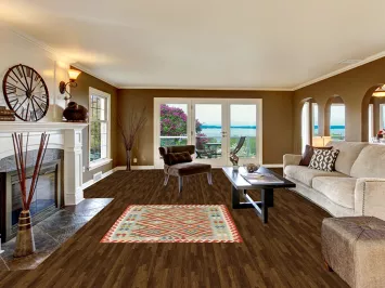 Reversible Wool Kilim Oriental Accent Rug 4x5