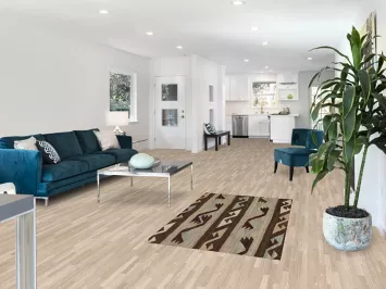 Brown Wool Kilim Oriental Foyer Rug 3x5