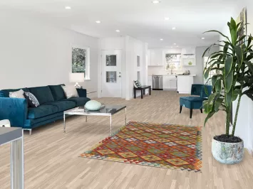 Reversible Wool Kilim Oriental Accent Rug 4x6