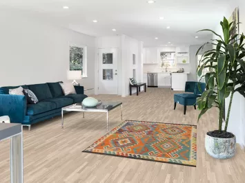 South Western Kilim Oriental Rug 4x6