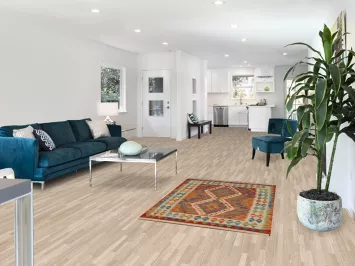 South Western Kilim Reversible Wool Rug 3x5