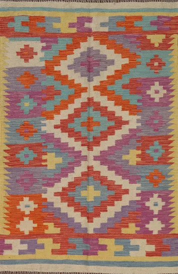 South Western Kilim Oriental Rug 3x5