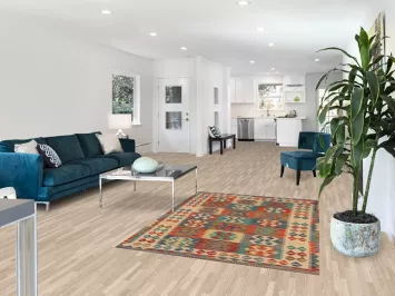 Geometric Kilim Oriental Accent Rug 4x6