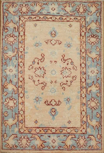 Vegetable Dye Oushak Oriental Accent Rug 2x3