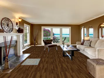 Vegetable Dye Oushak Oriental Rug 2x3