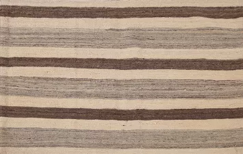 Striped Wool Kilim Oriental Rug 3x5