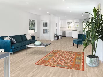 South Western Wool Kilim Oriental Rug 4x6