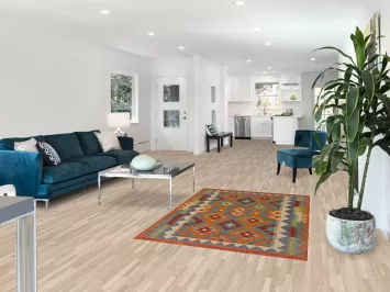 Multicolor Kilim Oriental Accent Rug 4x6