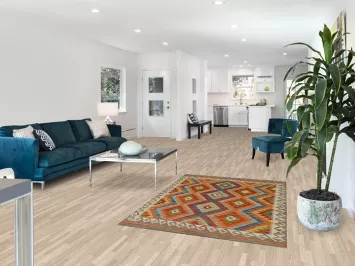 Multicolor Kilim Oriental Accent Rug 4x6