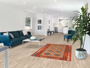 Reversible Wool Kilim Oriental Rug 4x6