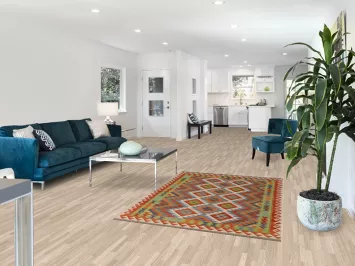 Reversible Wool Kilim Oriental Rug 4x6