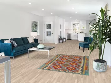 Reversible Wool Kilim Oriental Accent Rug 4x6