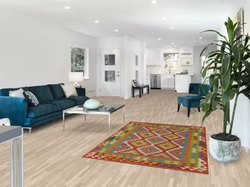 Multicolor Kilim Reversible Wool Rug 4x6