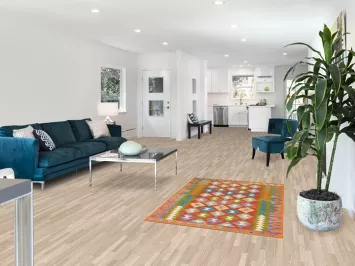 Reversible Wool Kilim Oriental Accent Rug 3x5